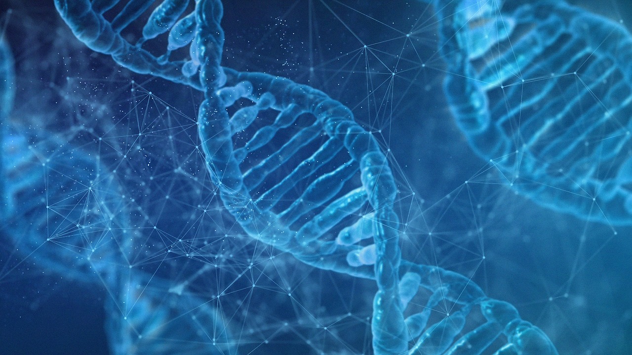 hd wallpaper, dna, biology-7090994.jpg